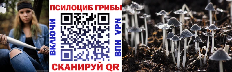 где найти наркотики  Серов  Галлюциногенные грибы Magic Shrooms 